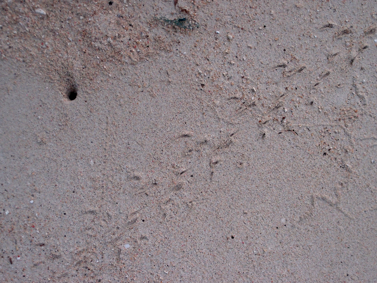 2015-10-03 04 Sand Komposition 2 (Komposition + Foto)